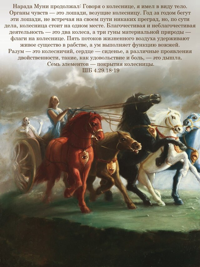 Шримад Бхагаватам 4.29.18-19